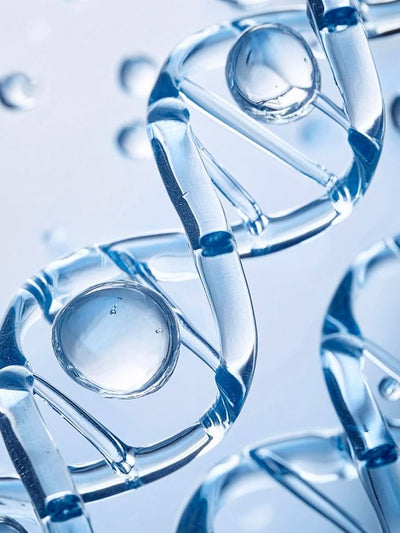 Sodium Hyaluronate