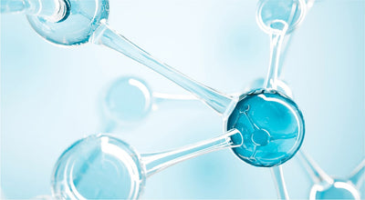 Hydrolyzed Collagen